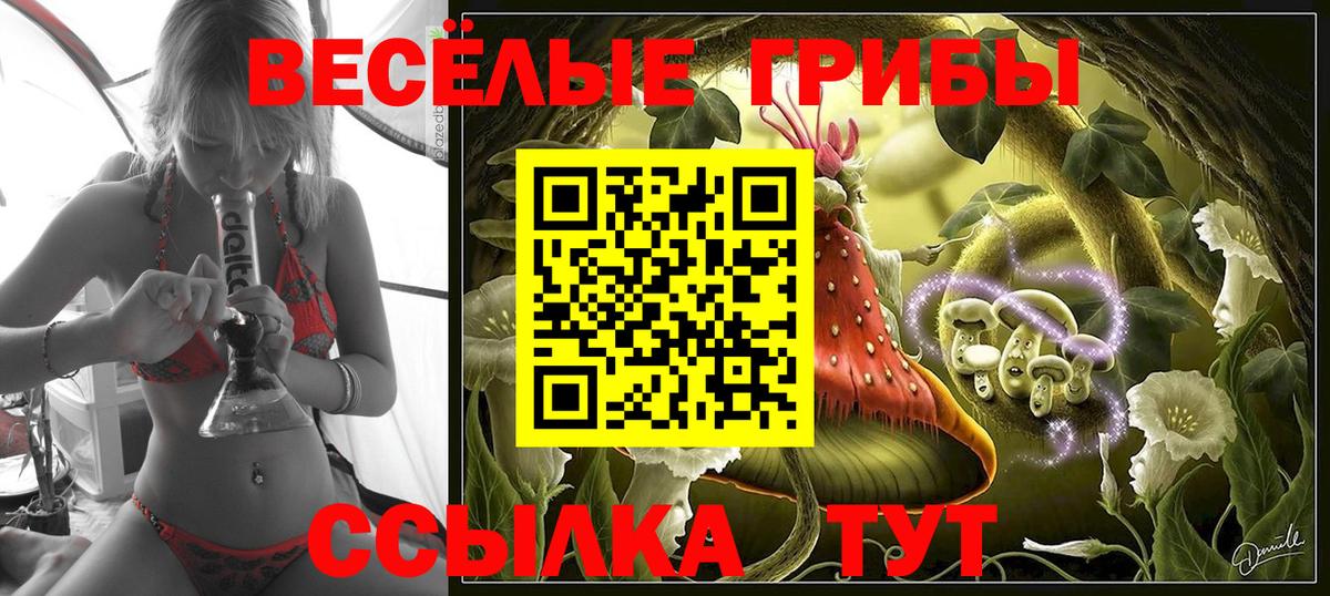 Галлюциногенные грибы Psilocybine cubensis Мариинск
